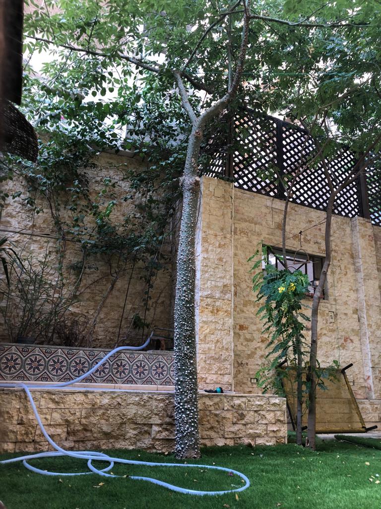 شقة ٢٧٠متر في المعادي تشطيب كامل  الدور أرضي