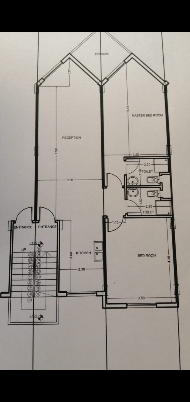 PIC1