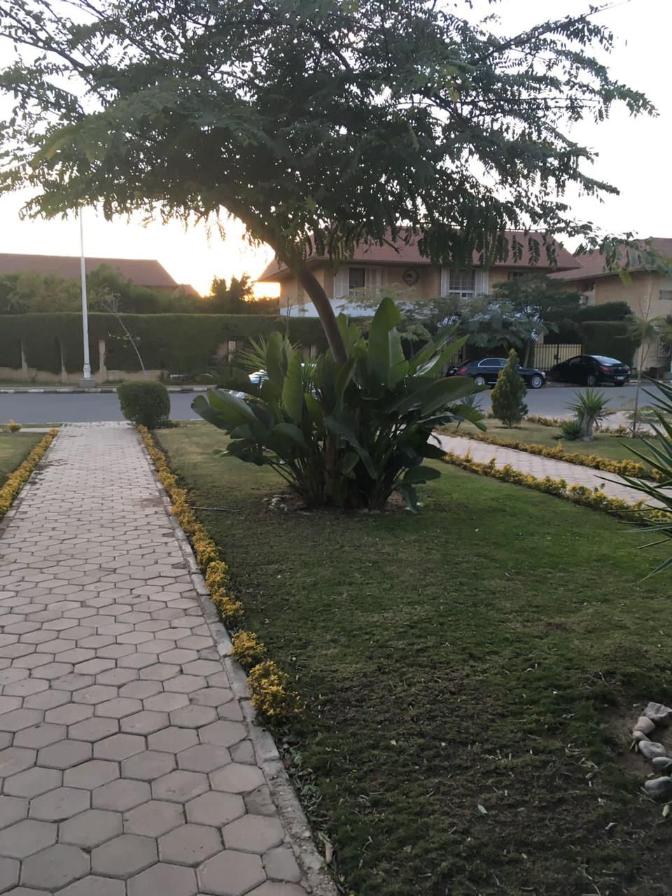 PIC1
