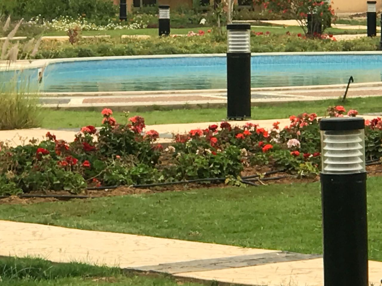 img1